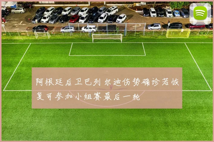 阿根廷后卫巴列尔迪伤势确诊若恢复可参加小组赛最后一轮