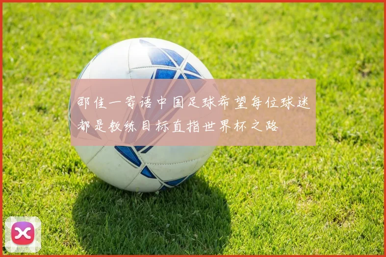 邵佳一寄语中国足球希望每位球迷都是教练目标直指世界杯之路