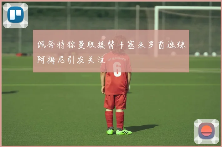 佩蒂特称曼联接替卡塞米罗首选琼阿梅尼引发关注